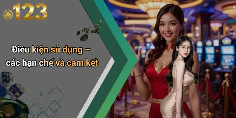 Điều kiện sử dụng – các hạn chế và cam kết