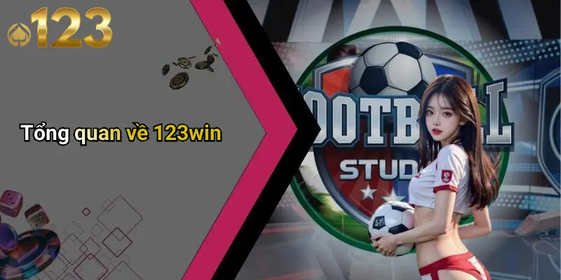 Tổng quan về 123win